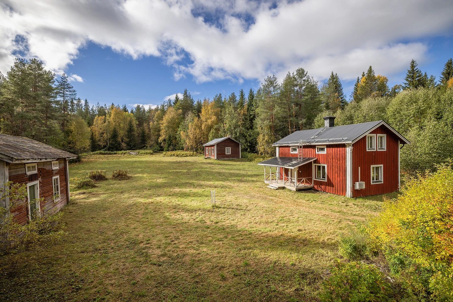 Cozy house with potential in Sweden